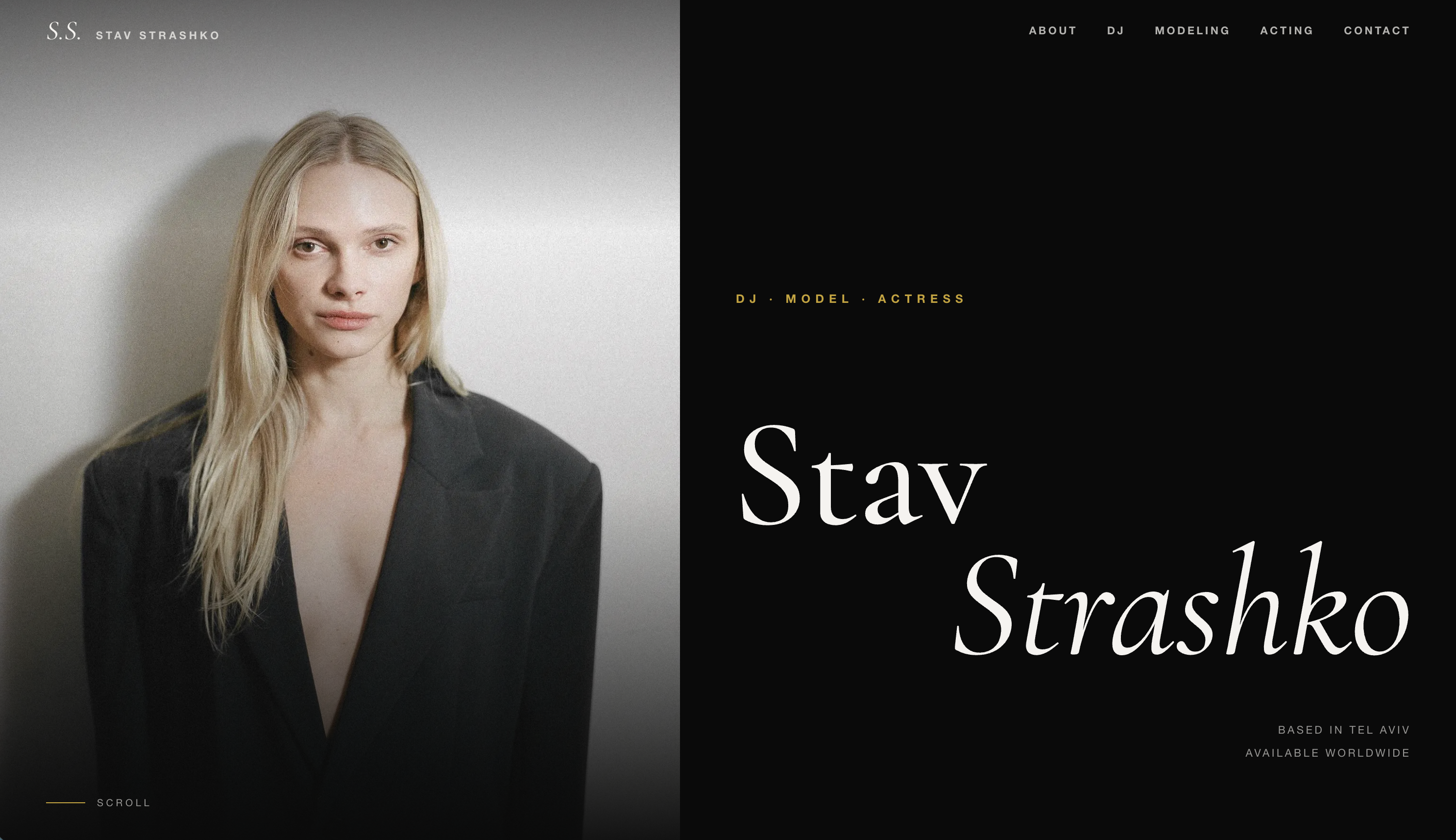 Influencer Portfolio Website screenshot 1